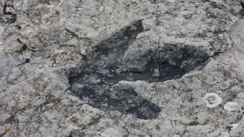 Zbulim historik, mijëra gjurmë dinosaurësh gjenden në shkëmbinjtë e Alpeve