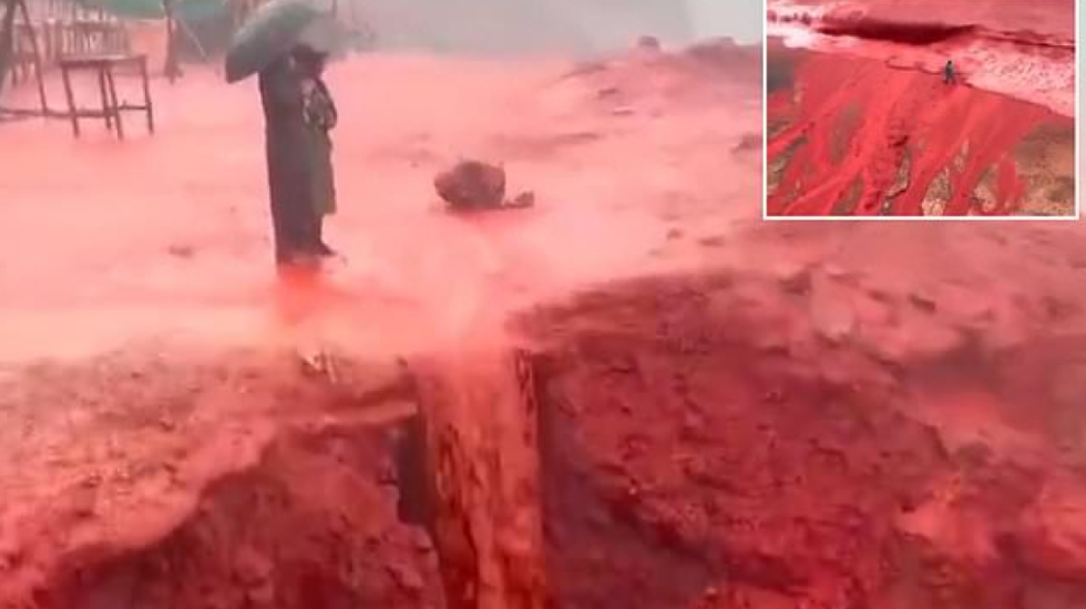 Deti bëhet i kuq në Gjirin Persik, rrjeti ndizet nga profecitë Biblike