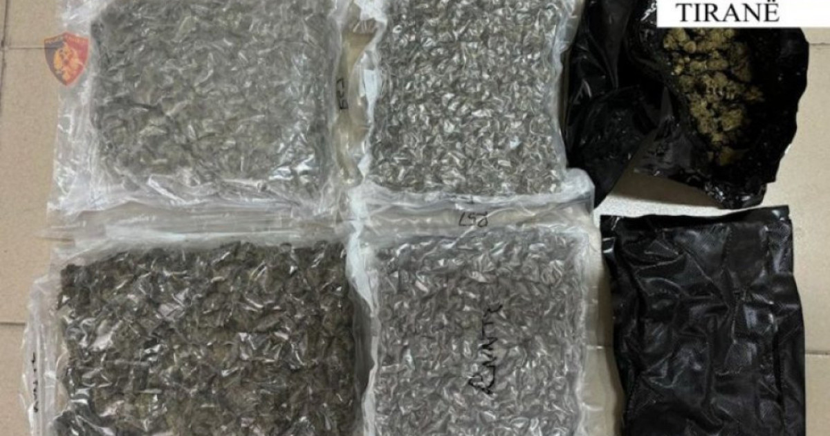 gati-per-ta-mbjelle-dy-te-arrestuar-ne-librazhd-me-qindra-fidane-kanabisi