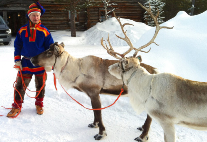 “Rrezikohen Krishtlindjet”, drerët e Babagjyshit nën kërcënim serioz