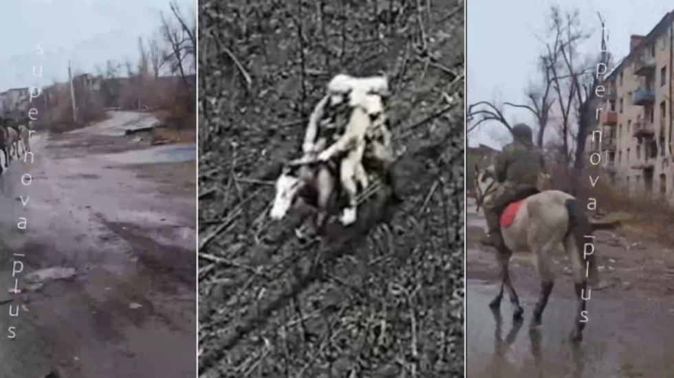 Lufta në Ukrainë/ Ushtarët rusë detyrohen të përdorin kuaj në front: Jemi pa pajisje