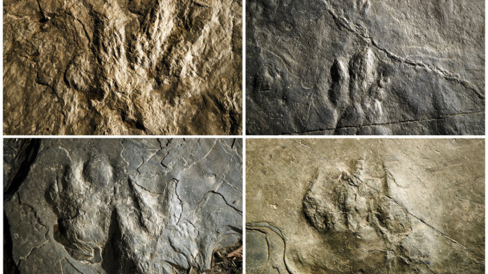 “Lugina e Dinozaurëve” që ruan me mijëra gjurmë