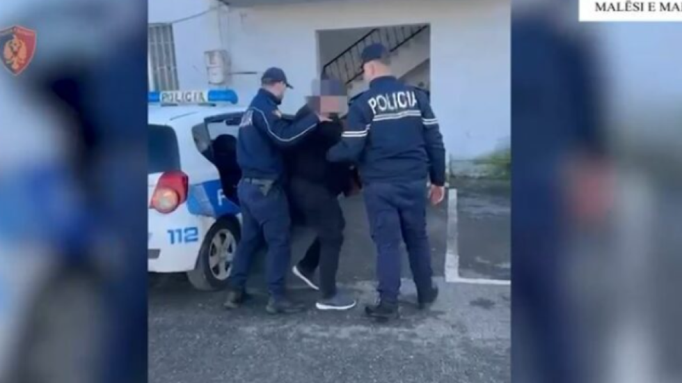 Mbolli kanabis në Malësi të Madhe, kapet i kërkuari