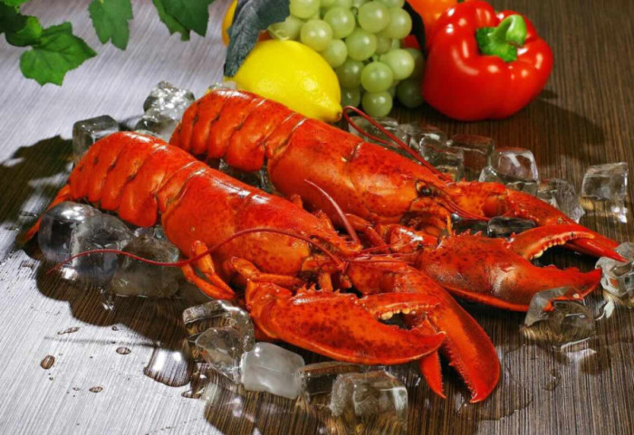 “Është torturë”, qeveria angleze mblidhet për... arragostat