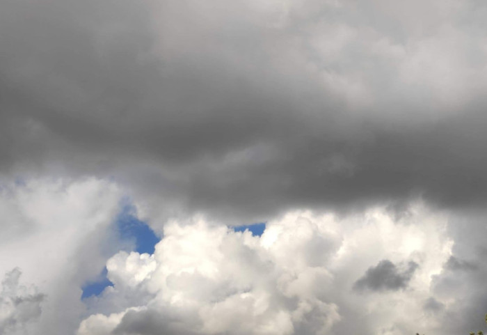 Akulli "pushton" vendin, parashikimi i motit në Shqipëri