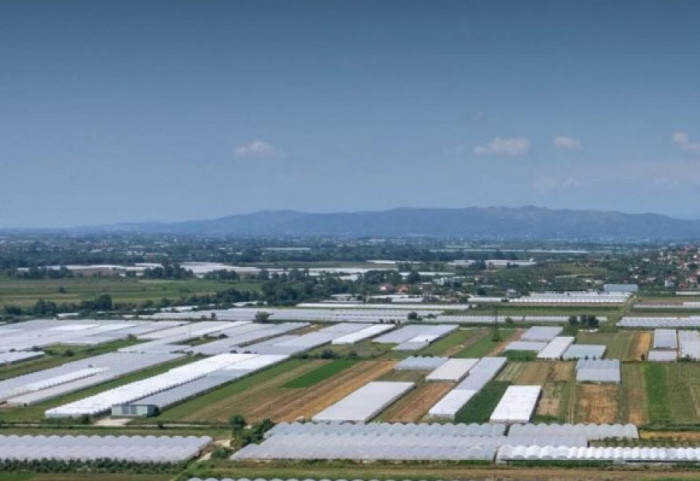 Skema Kombëtare e Mbështetjes, kalon kësti i dytë i pagesave për fermerët