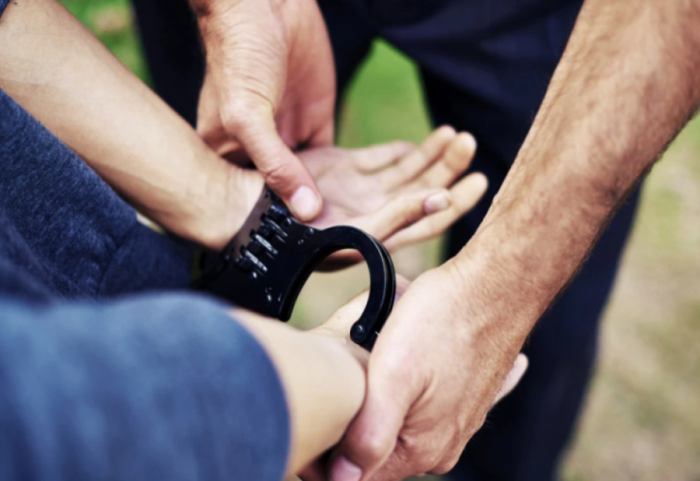 Grabitën bizhu me vlerë 500 mijë euro, kapen “Panterat Rozë”