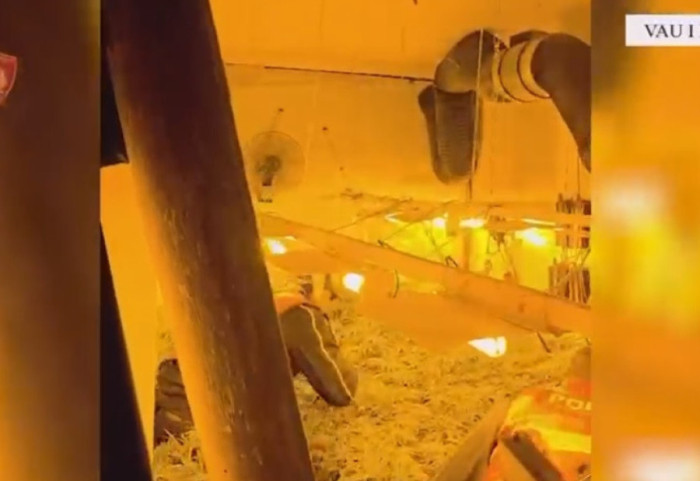 Tjetër shtëpi bari në Shkodër, dy në kërkim. Procedohen punonjës të OSHEE