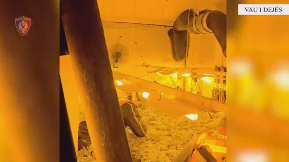 Tjetër shtëpi bari në Shkodër, dy në kërkim. Procedohen punonjës të OSHEE