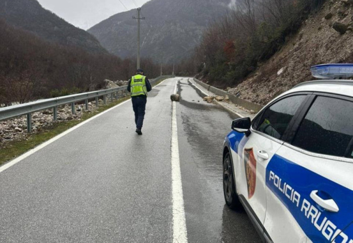 20-vjeçari tenton të hidhet nga Ura e Vashës, e shpëtojnë kalimtarët