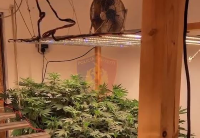 Zbulohet një “shtëpi bari” në Sarandë