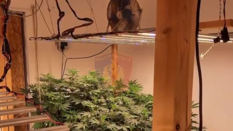 Zbulohet një “shtëpi bari” në Sarandë