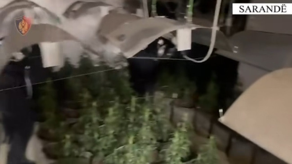 "Hape derën, policia!", shtëpi bari në mes të Sarandës. Sekuestrohen 26 kg kanabis