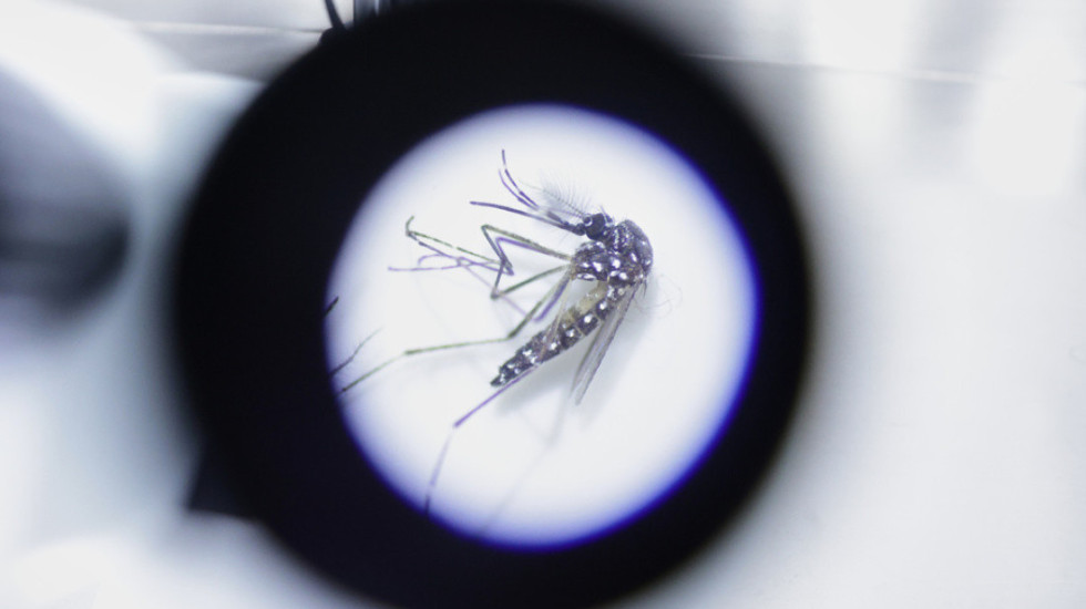 Austria i shpall “luftë bërthamore” mushkonjave