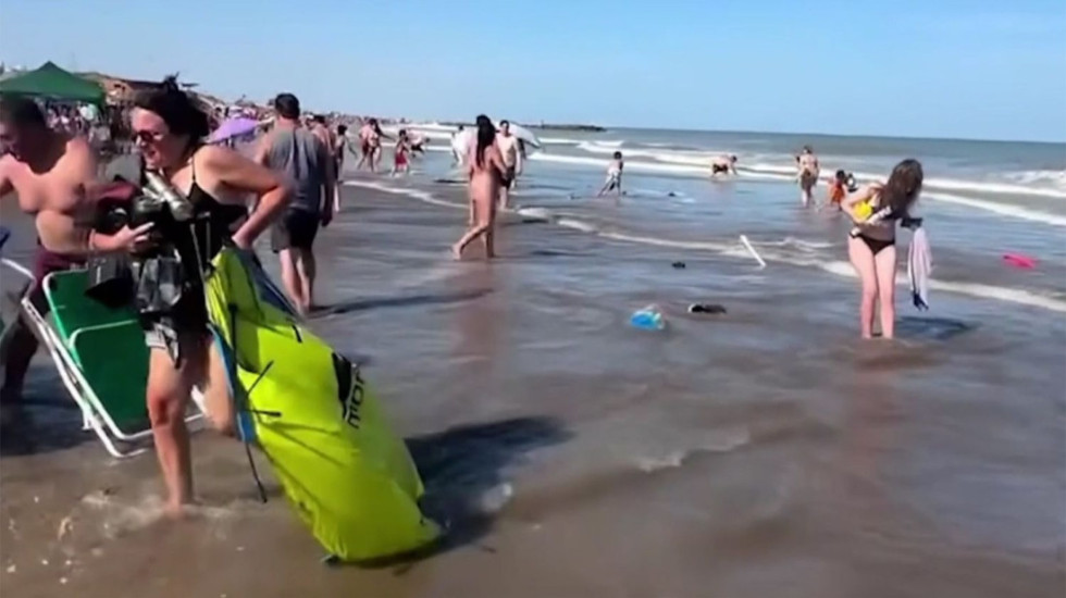 Valë gjigante në plazhin e Argjentinës, një viktimë