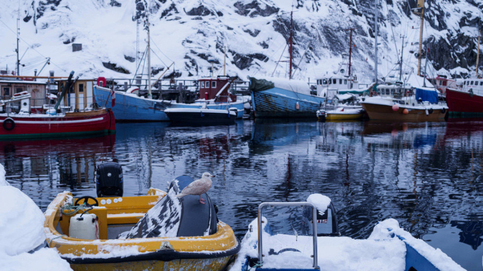 Pas tensioneve politike, Groenlanda ecën kundër trendeve globale klimaterike