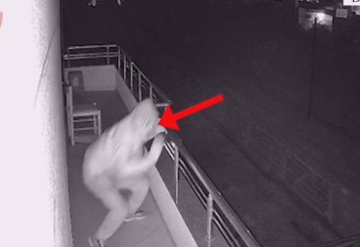 Hyri nga ballkoni/ Vodhi tre herë shtëpinë e shtetases italiane, në pranga 29-vjeçari