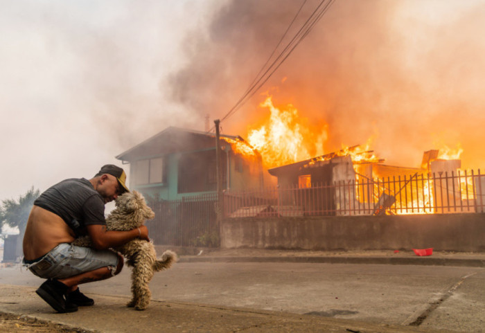 Të paktën 20 viktima nga zjarret, shpallet gjendja e jashtëzakonshme në Kili