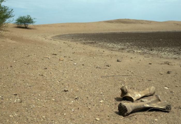 “Planetit po i shteron uji”, OKB paralajmëron krizën globale