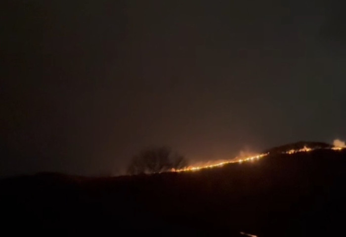 Vlorë, përfshihet nga flakët zona e kënetës në Orikum