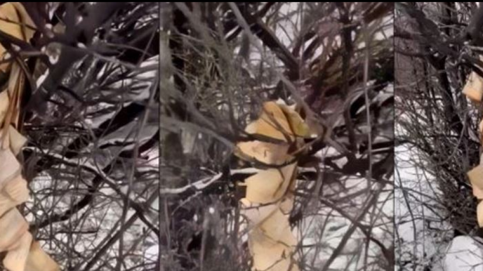 Digjet Kurani në Gjakovë, policia nis hetimet, reagon Bashkësia Islame