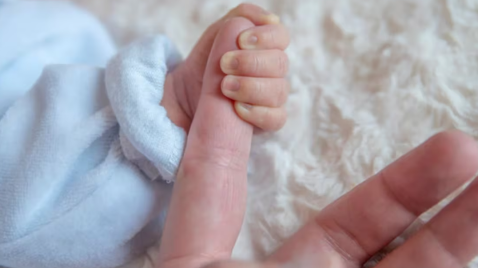 Punonjësja mori leje lindje, kompania falsifikon mbylljen e aktivitetit për ta pushuar nga puna, por e pëson në gjykatë