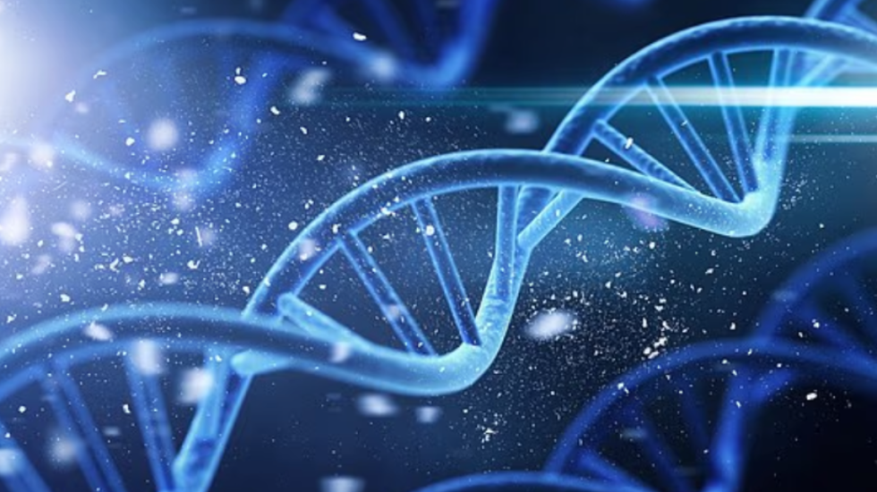 Sekreti i jetëgjatësisë? Shkencëtarët: Fshihet kryesisht në gjene, jo në dietë apo ushtrime fizike