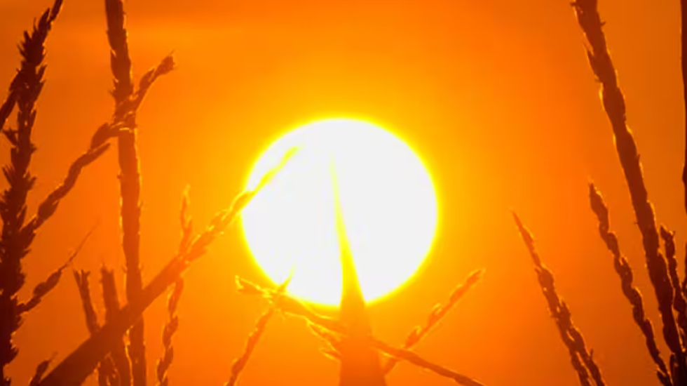 I nxehti shkrin Australinë, temperaturat arrijnë 50 gradë