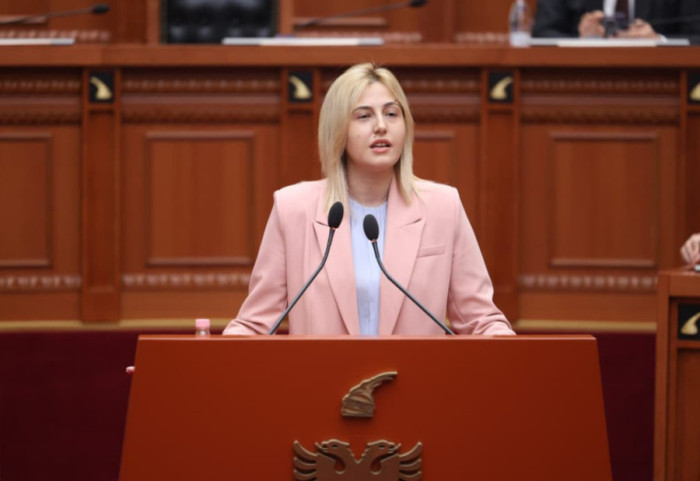 PD me një tjetër projektligj në Kuvend, Zhupa: Janë cënuar parimet kushtetuese