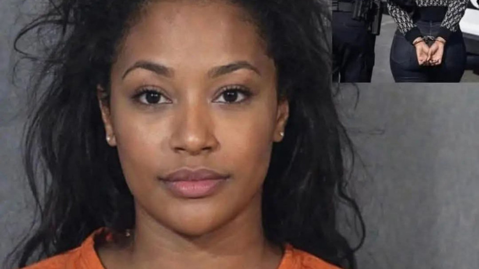 I dërgoi 159 mijë mesazhe pas vetëm një takimi, femra në SHBA arrestohet për ngacmim