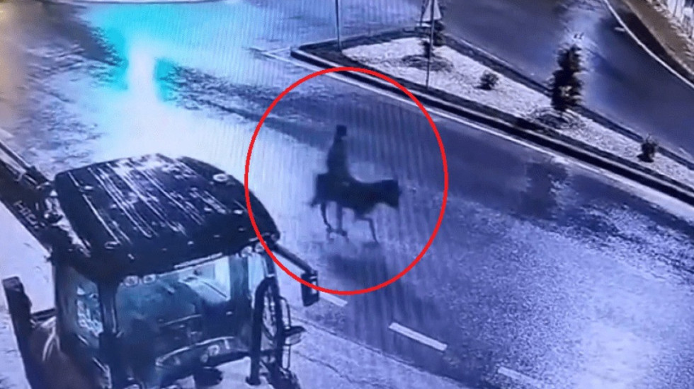 Grabitje spektakolare, hajduti arratiset mbi gomar pas vjedhjes së argjendarisë