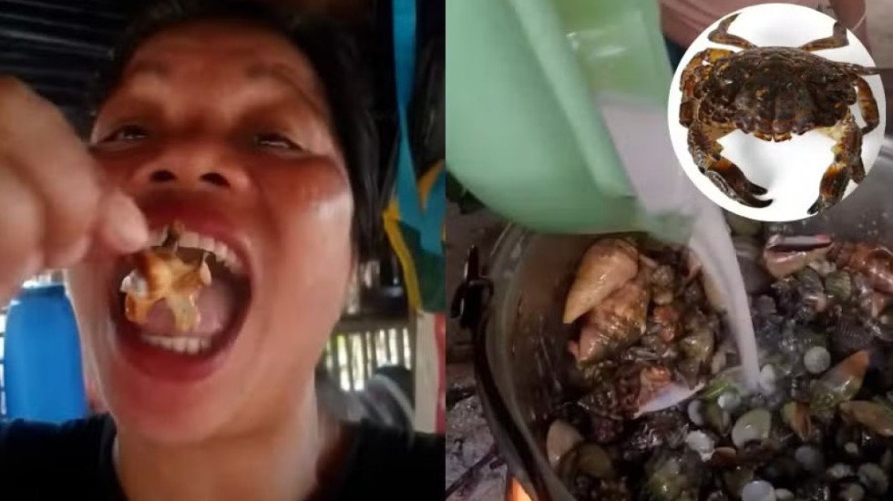 Konsumoi gaforren “djall” live në rrjetet sociale, ndërron jetë vlogerja e ushqimit