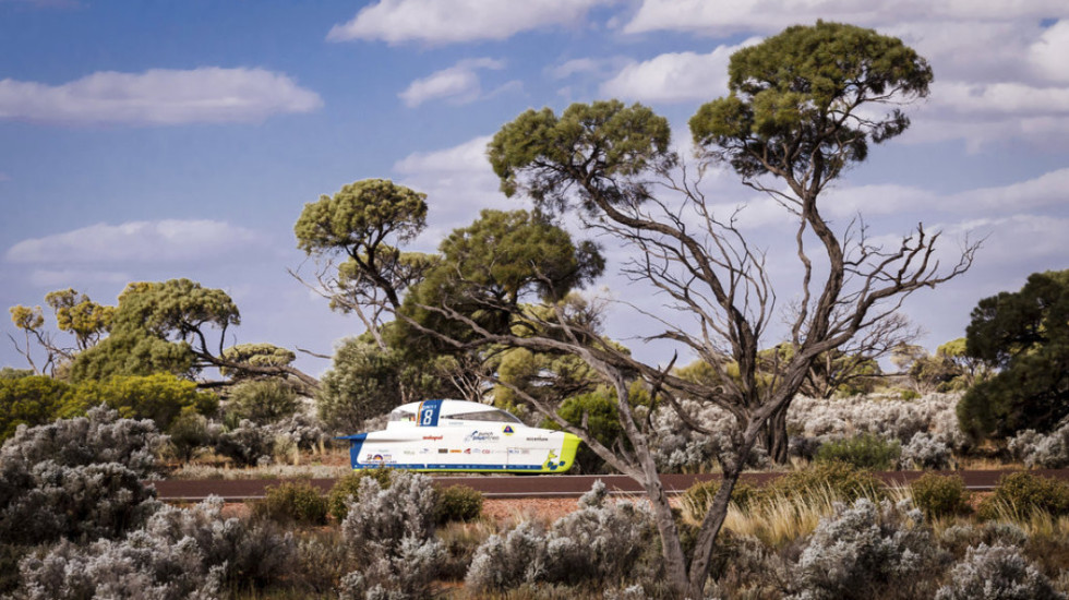 "Darwin Day", festohet dita e Evolucionit