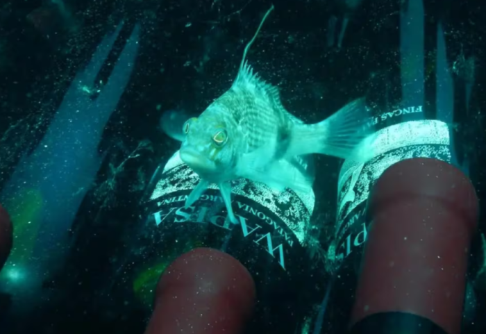 “Thesar” me verë, 800 shishe nxirren nga fundi i detit, cilësia është mahnitëse