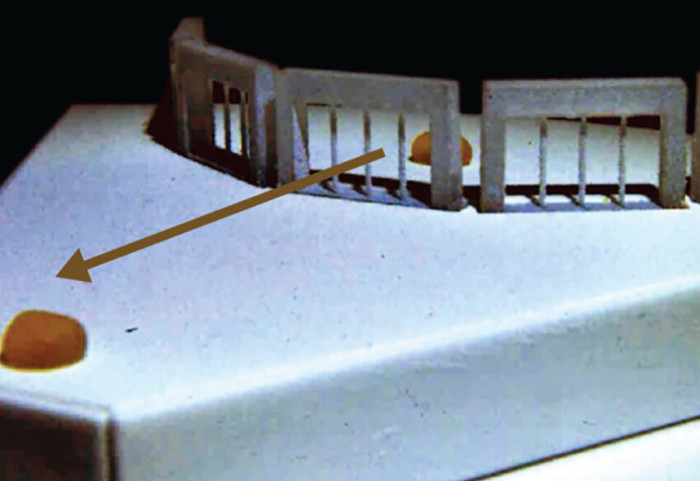 Krijohet roboti inteligjent prej lëngu, mund të ndryshojë formën dhe të “gëlltisë” objekte