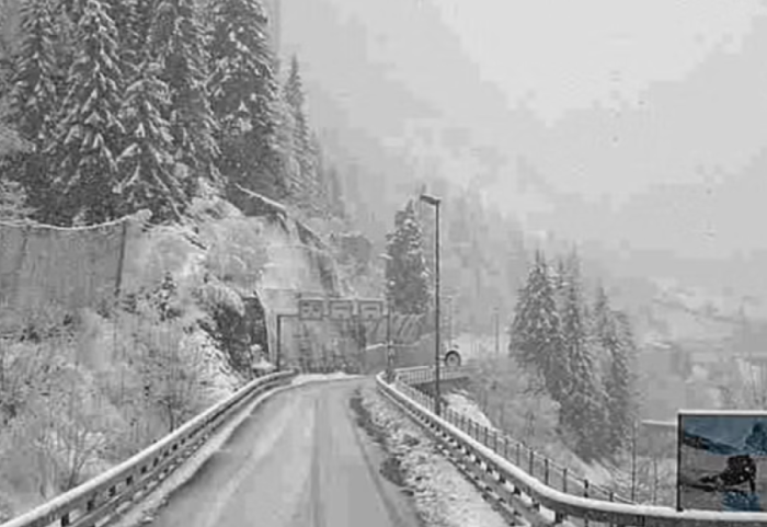 Orteku nxjerr nga shinat trenin në Zvicër, dhjetëra të lënduar