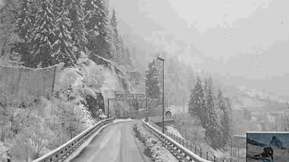 Orteku nxjerr nga shinat trenin në Zvicër, dhjetëra të lënduar