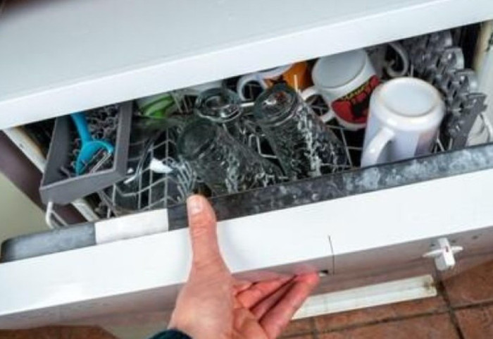 Miku i paftuar, gruaja hap lavastoviljen dhe gjen brenda pitonin lëkurë diamant