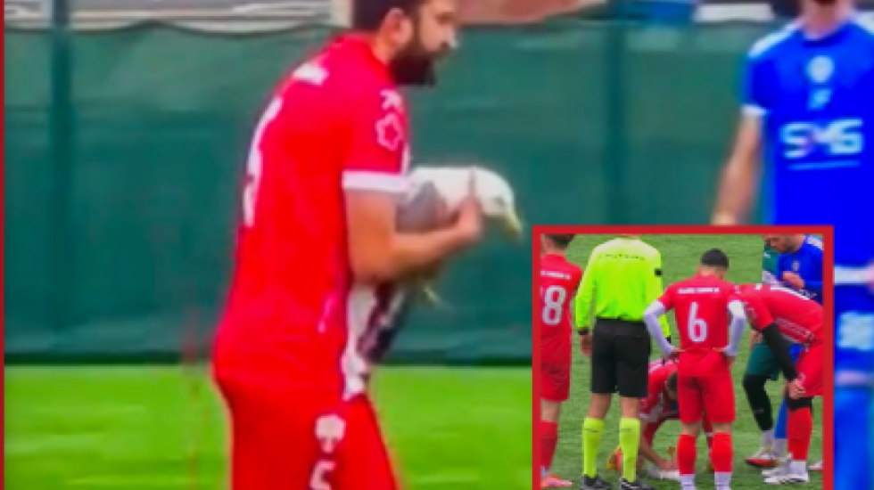 Portieri godet pa dashje një pulëbardhë gjatë ndeshjes, gjesti i futbollistit emocionon rrjetin