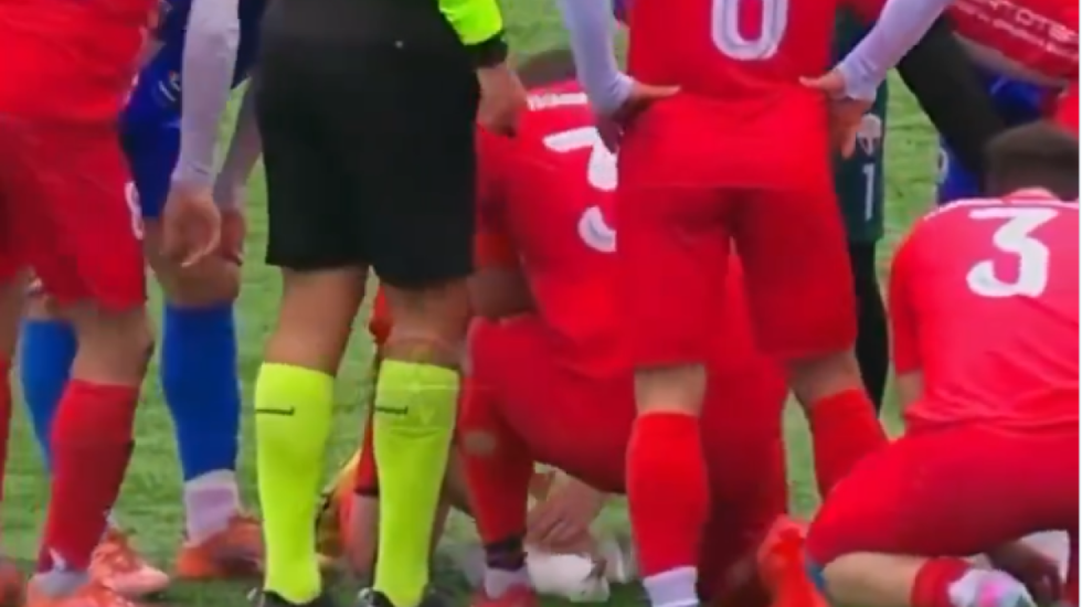 Futbollisti në Turqi i shpëton jetën një pulëbardhe duke i bërë CPR