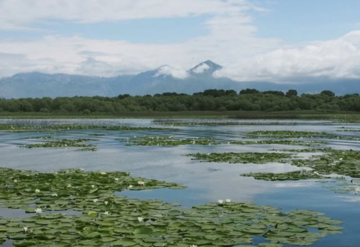 Liqeni i Shkodrës në pritje të statusit ndërkombëtar të UNESCO-s