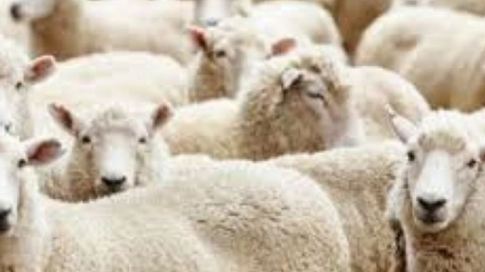 Lija e dhenve godet Maqedoninë e Veriut, regjistrohen 4 vatra