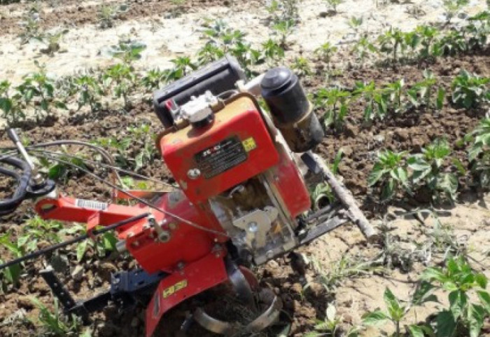 Po punonte tokën, freza i merr jetën 36-vjeçarit në Fier