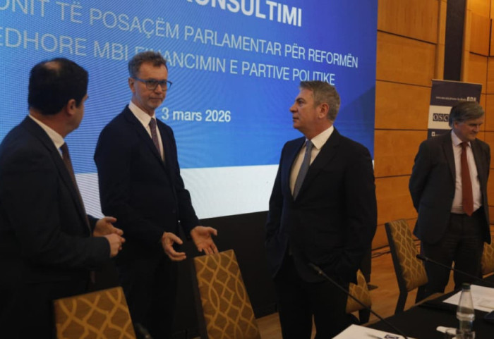 "Vija dalluese mes shtetit e partisë të jetë e theksuar", Gonzato: Transparencë për financimin