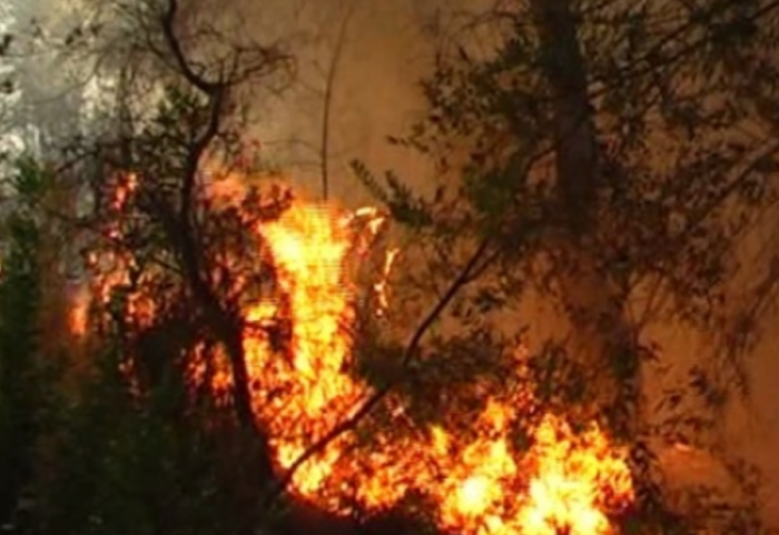 Zjarr në Bulqizë, era favorizon flakët