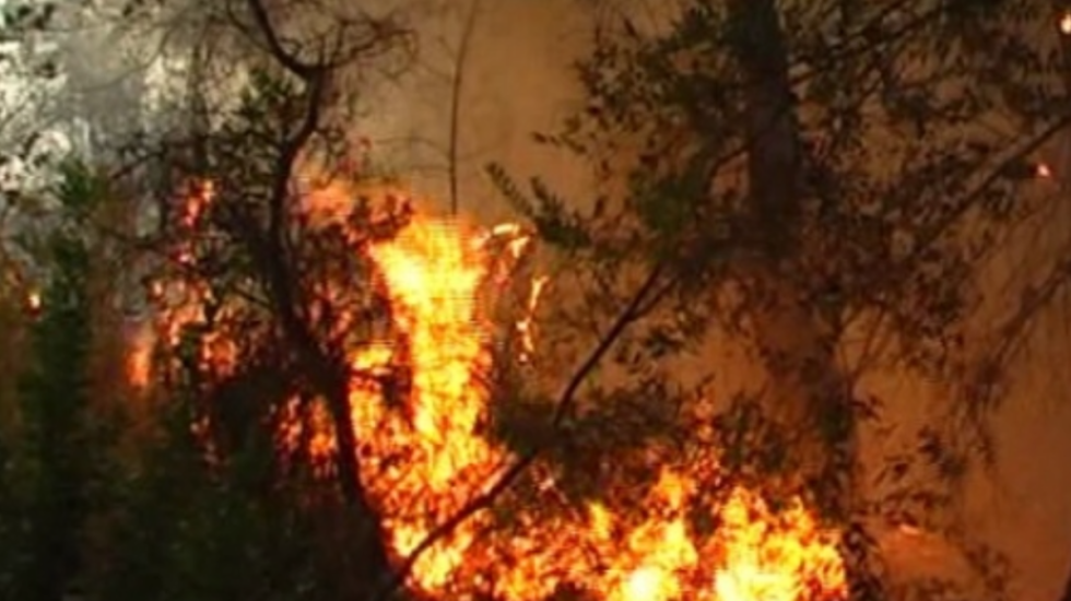 Zjarr në Bulqizë, era favorizon flakët