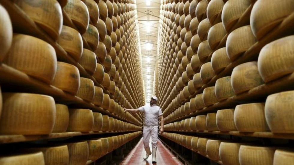 Vlen 200 milionë dollarë, banka jep kredi duke përdorur djathin “parmigiano” si garanci