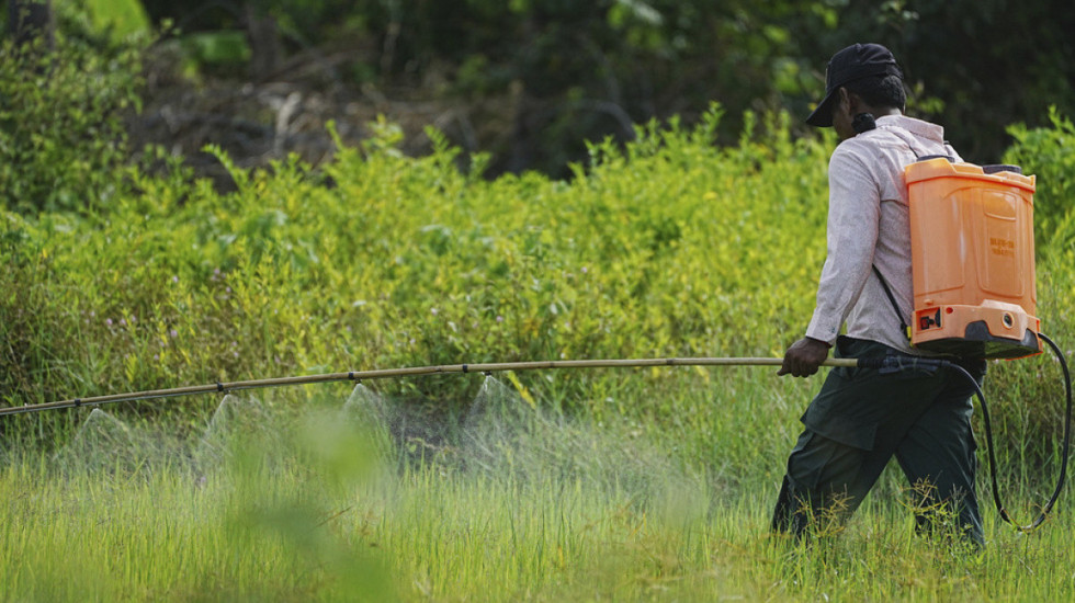 "Uria rekord", alarmi i Programit Botëror të Ushqimit: Preken 363 milionë njerëz nga lufta