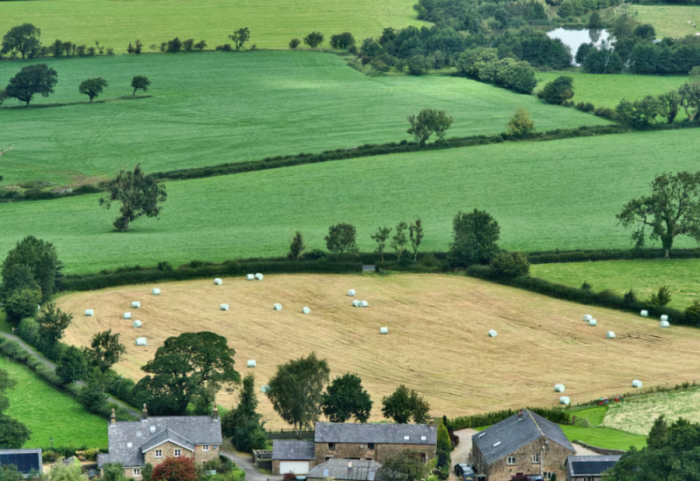 “Do e mbjellim grurë”, familja refuzon 26 milionë dollarë për të shitur tokën