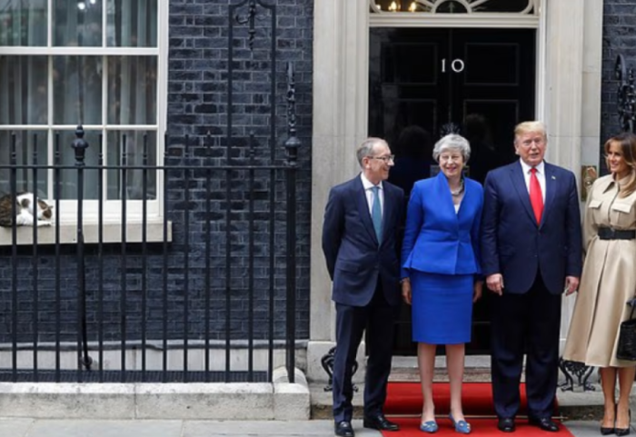 Macja “kryeministrore” në krye të detyrës, kapet nga kamerat teksa kap një mi